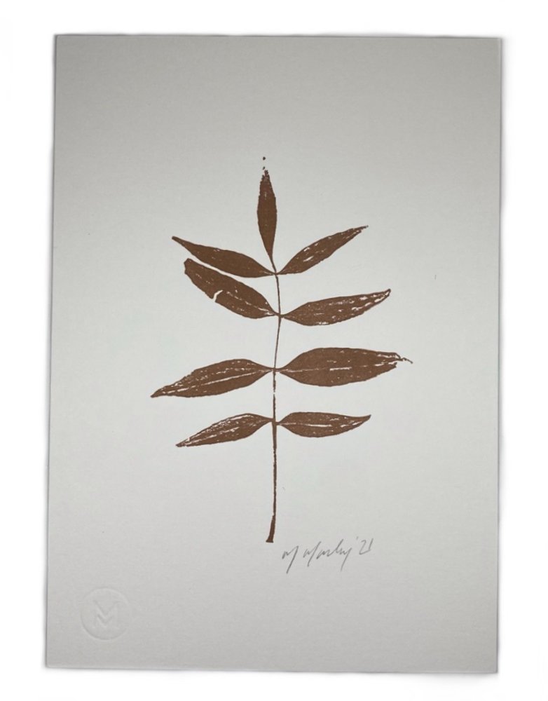 MAGGIE MARLEY A5 Copper Botanical Print - Willow Leaf