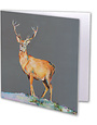 LORRAINE FLETCHER ART STUDIO Greeting Card Pack - Woodland Wildlife