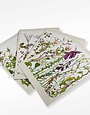 KILCOE STUDIOS Greeting Card Pack - Irish Hedgerow Four Seasons