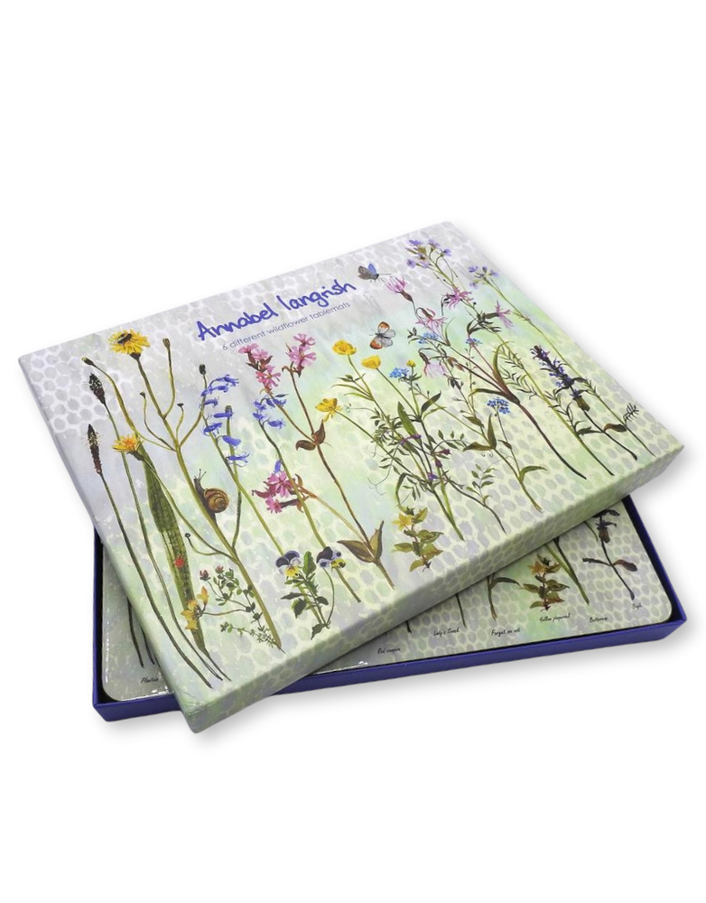 ANNABEL LANGRISH Placemat Set - Wild Flowers