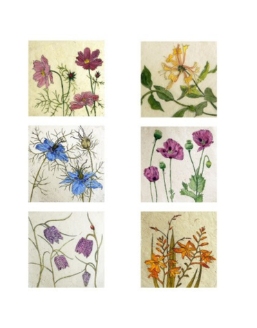 ANNABEL LANGRISH Mini Cards 6 Pack - Wild Flowers