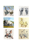ANNABEL LANGRISH Mini Cards 6 Pack - Farmyard Animals