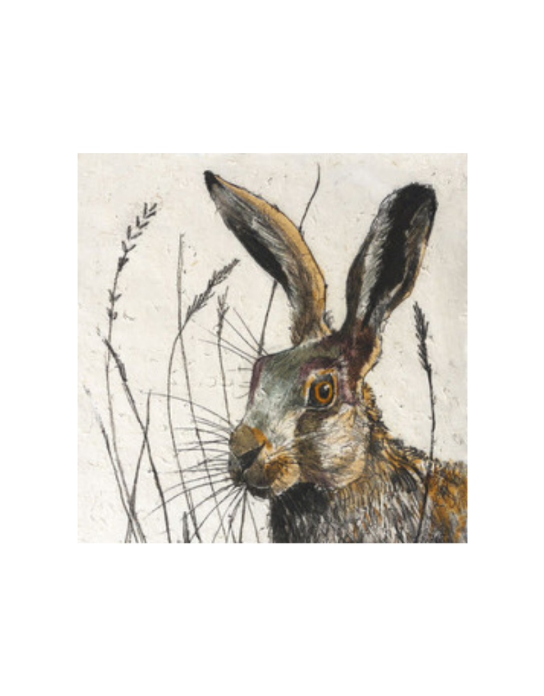 ANNABEL LANGRISH Mini Framed Print- Hare