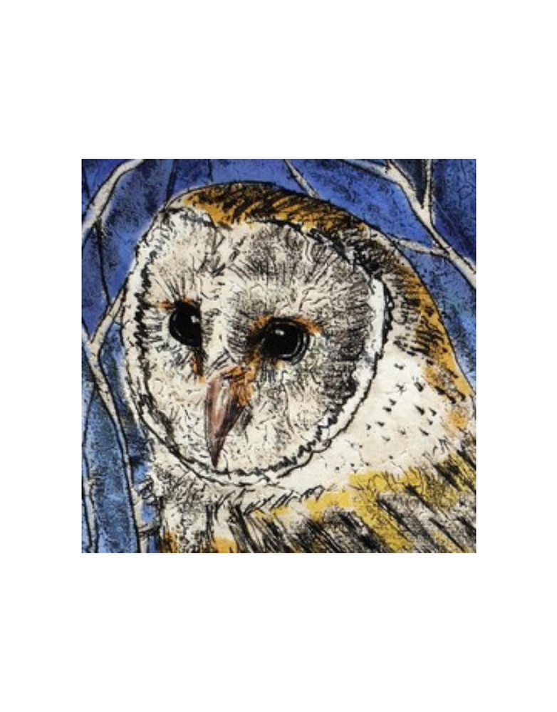 ANNABEL LANGRISH Mini Framed Print - Owl