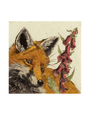 ANNABEL LANGRISH Mini Framed Print - Foxy