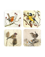 ANNABEL LANGRISH Coaster Set - Garden Birds