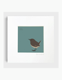 BEX SHELFORD Framed Print - Wren