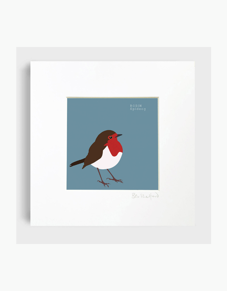 BEX SHELFORD Framed Print - Robin