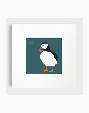 BEX SHELFORD Framed Print - Puffin