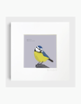 BEX SHELFORD Framed Print - Blue Tit