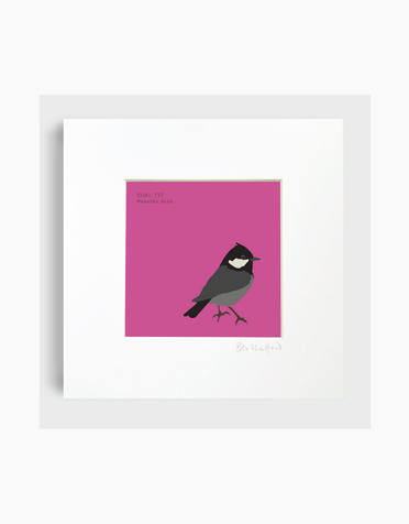 BEX SHELFORD Framed Print - Coal Tit