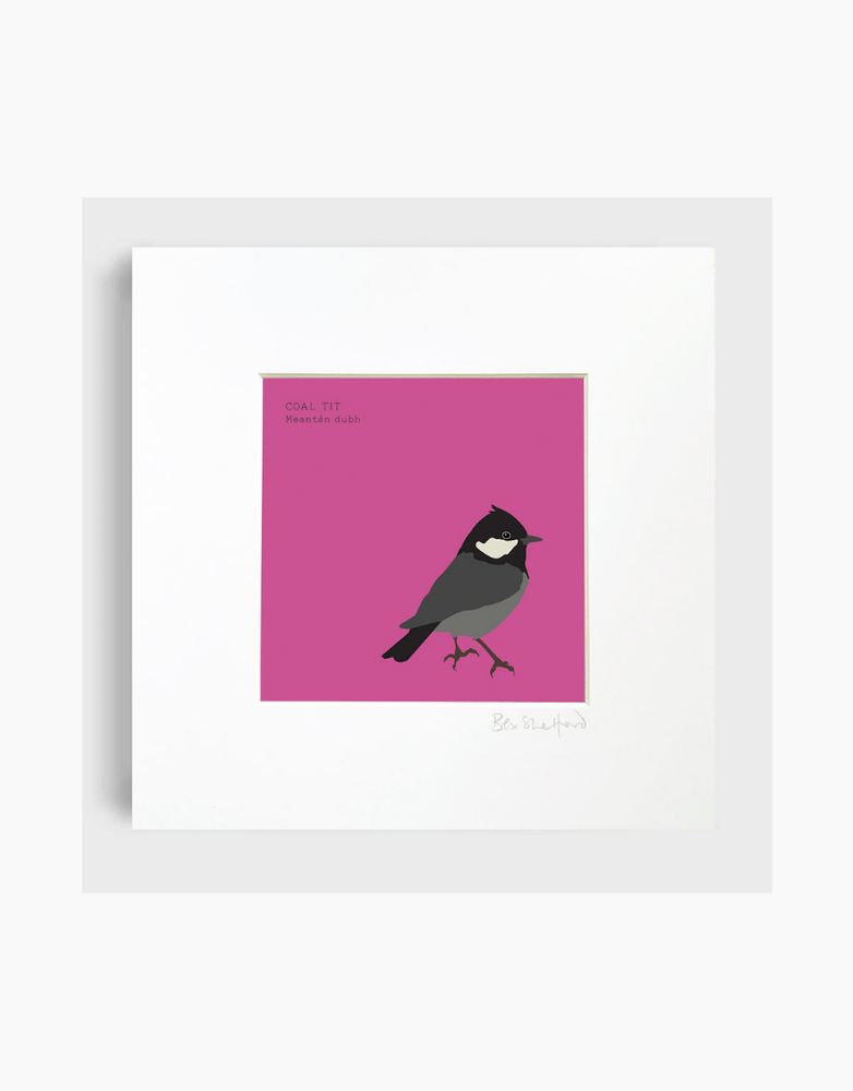 BEX SHELFORD Mounted Print - Coal Tit