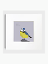 BEX SHELFORD Mounted Print - Blue Tit