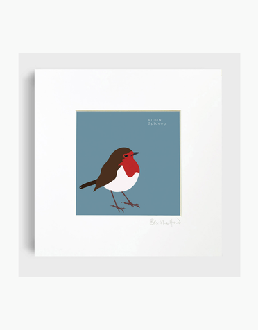 BEX SHELFORD Mounted Print - Robin