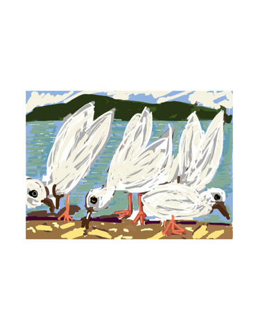 ART CARDS Card - Seagulls