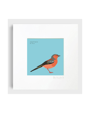 BEX SHELFORD Framed Print - Chaffinch