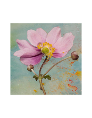ART CARDS Card - Vintage Anemone