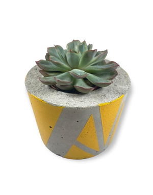 AIL+EL Concrete Planter Small - Daffodil Yellow