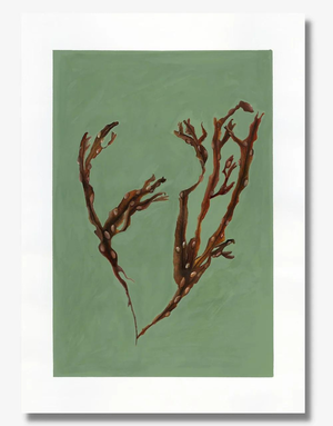 DOLLYBIRDS ART Print A3 - Bladder Wrack