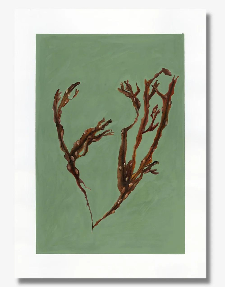 DOLLYBIRDS ART Print A3 - Bladder Wrack