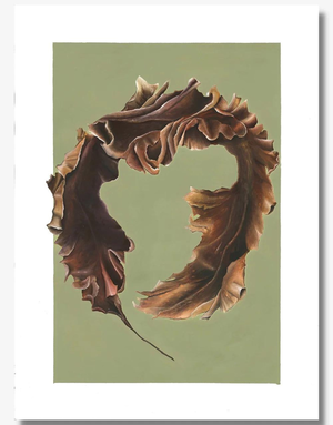 DOLLYBIRDS ART Print A3 - Sugar Kelp