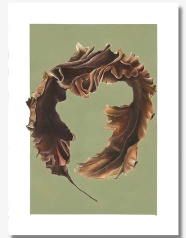 DOLLYBIRDS ART Print A3 - Sugar Kelp