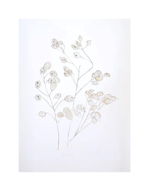 DOLLYBIRDS ART Print A3 - Dried Honesty