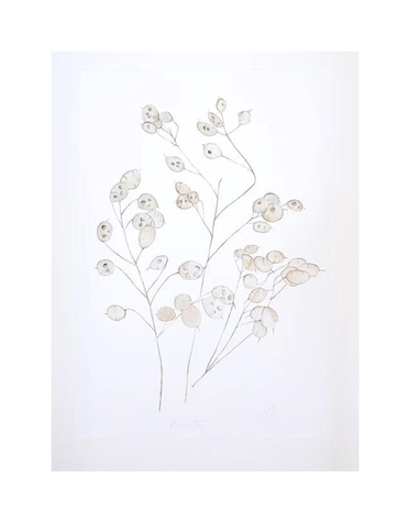 DOLLYBIRDS ART Print A3 - Dried Honesty