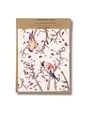 KILCOE STUDIOS Mini Card Pack - Bullfinch on Hawthorn