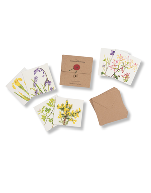 KILCOE STUDIOS Greeting Card Pack - Irish Wildflowers
