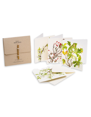 KILCOE STUDIOS Greeting Card Pack - Irish Trees
