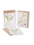KILCOE STUDIOS Greeting Card Pack - Irish Edible Garden