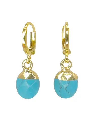 ARIA-V Turquoise Drop Earrings