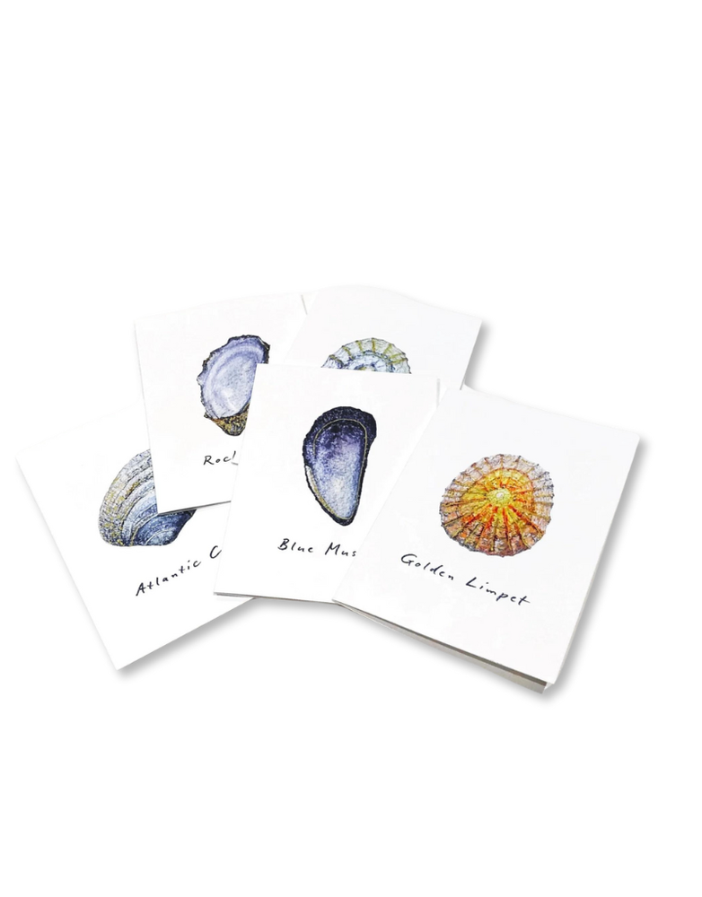 ROSIE KEANE Mini Card Pack - Seashells