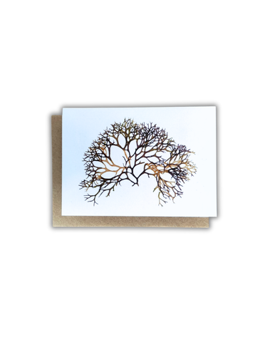 SEA STÓR Card- Carraigín Landscape