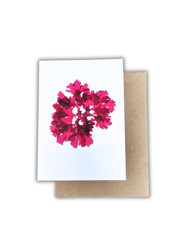 SEA STÓR Card- Beautiful Fan Weed