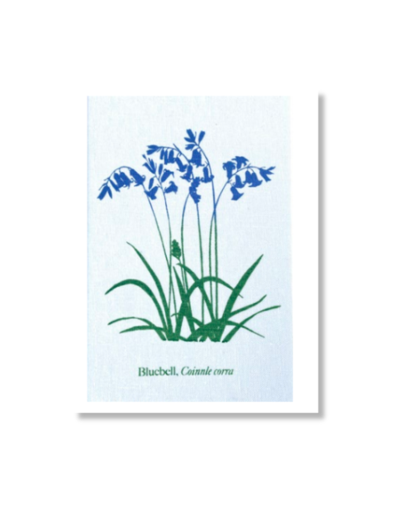 JUPITER RED A4 Linen Art Print  - Bluebell White
