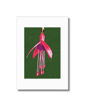 ANNE HARRINGTON REES A3 Mounted Print - Fuchsia Green