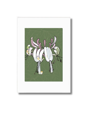 ANNE HARRINGTON REES A3 Mounted Print - Honeysuckle