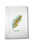 JUPITER RED A4 Linen Art Print  - Gorse White