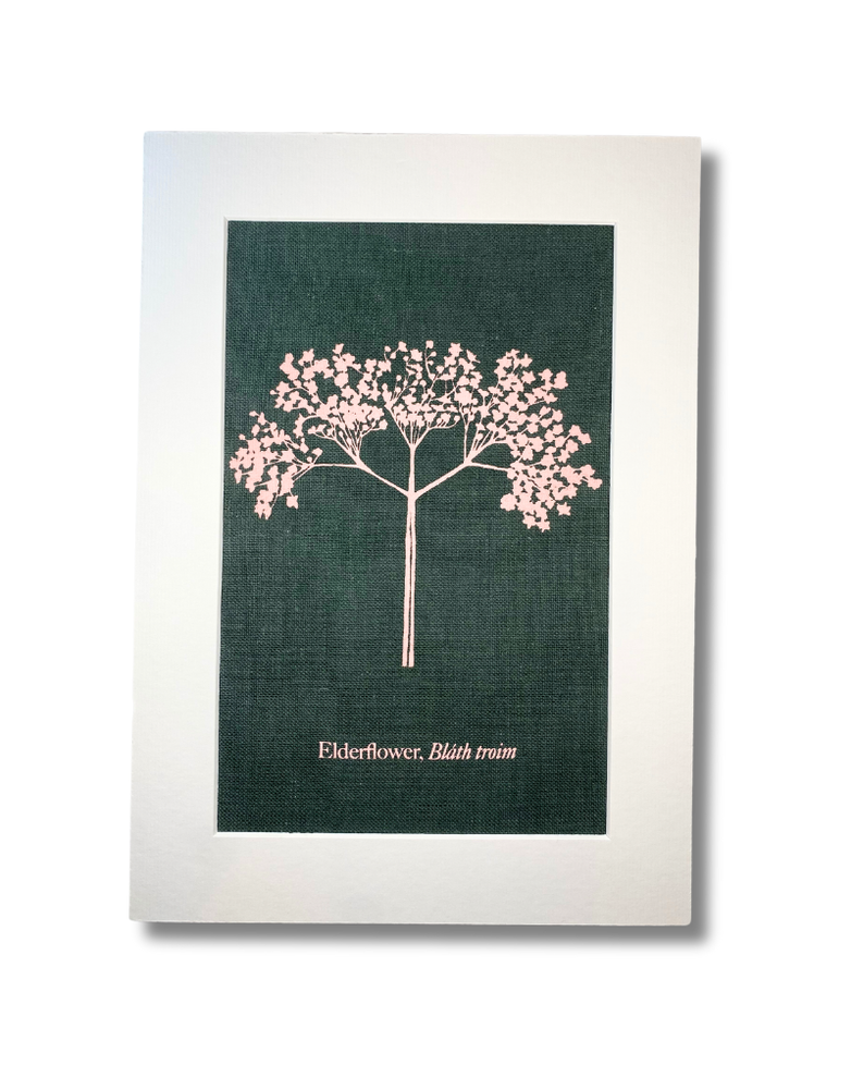 JUPITER RED A4 Linen Art Print  - Elderflower Green