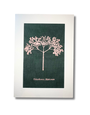 JUPITER RED A4 Linen Art Print  - Elderflower Green