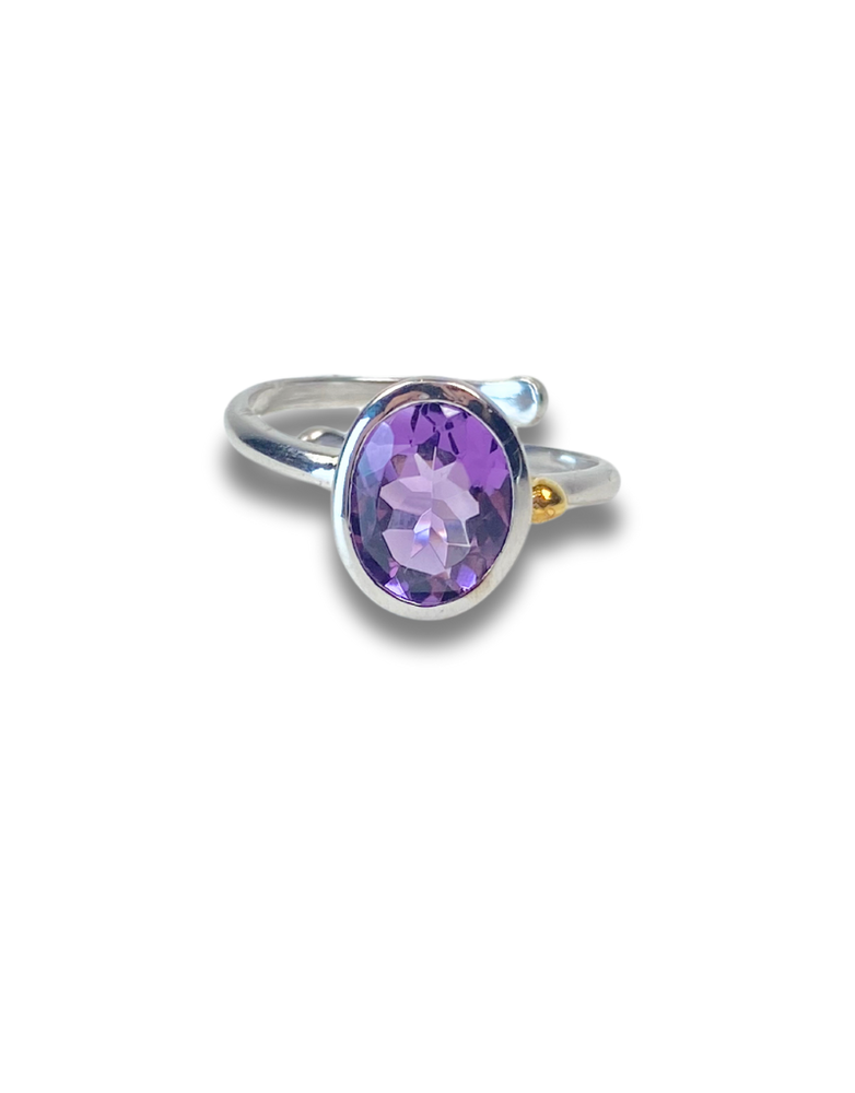 GALLARDO AND BLAINE Dream Ring - Amethyst Sil/G