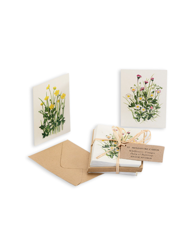 KILCOE STUDIOS Mini Card Pack - Wildflowers