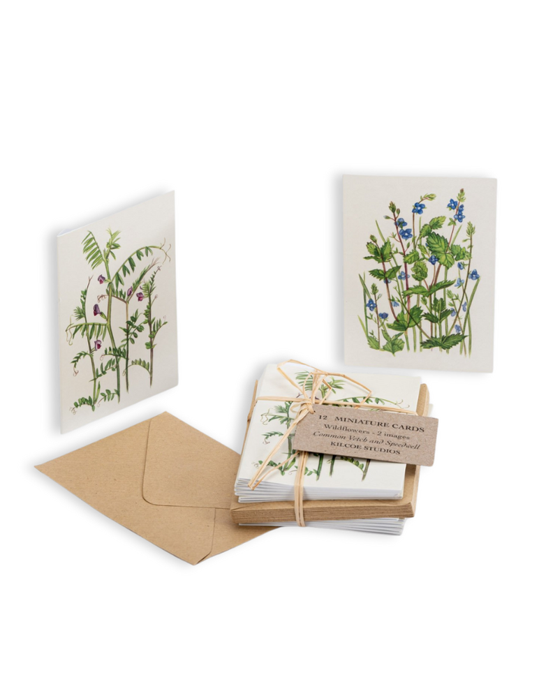 KILCOE STUDIOS Mini Card Pack - Wildflowers