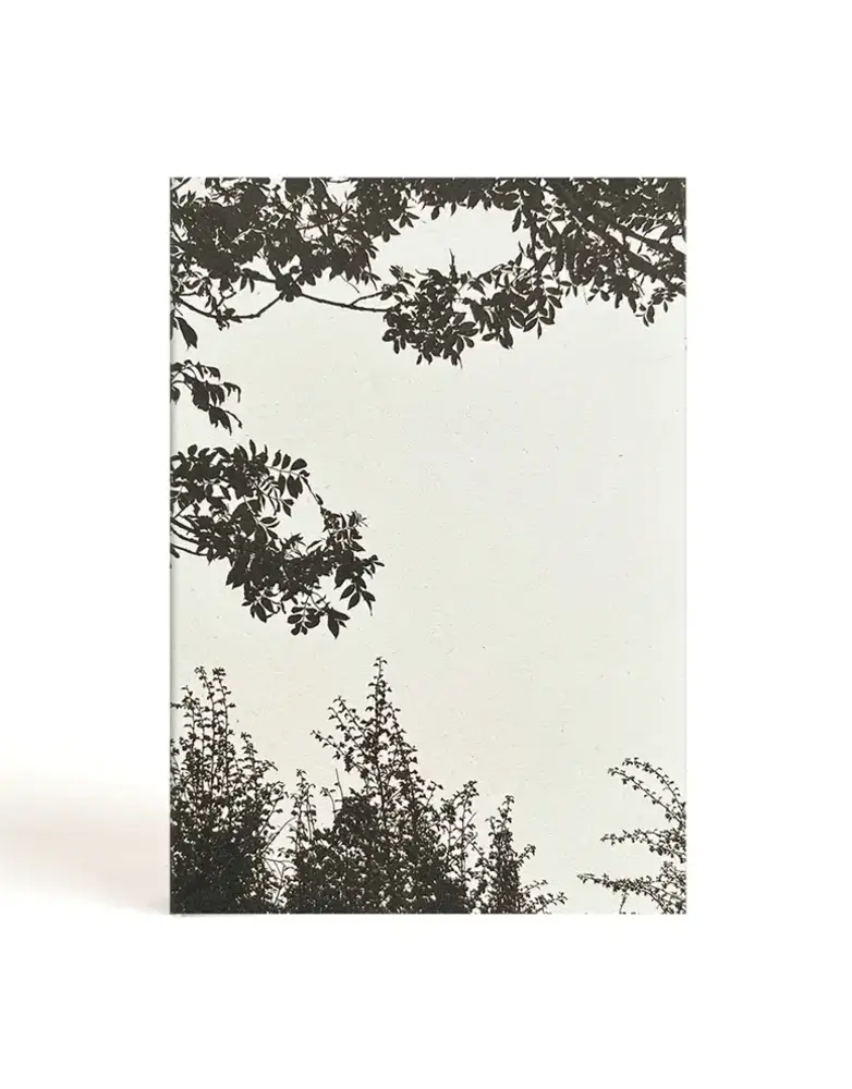 BADLY MADE BOOKS A5 Blank Notebook - Looking Up