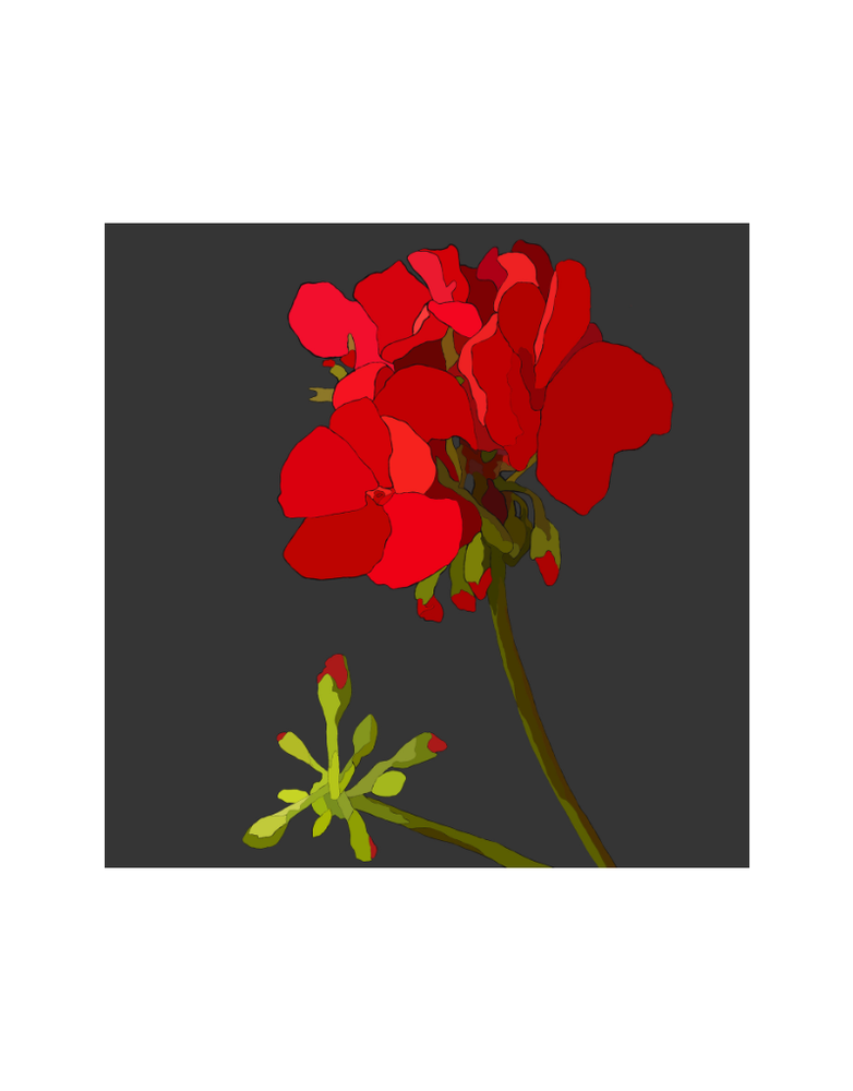 MY SHOP COLLECTION Framed Print- Geranium