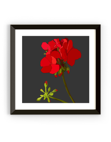 MY SHOP COLLECTION Framed Print- Geranium