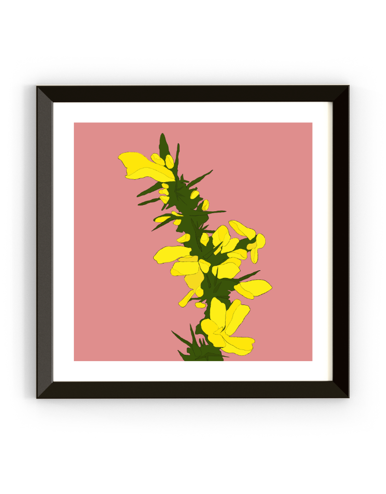 MY SHOP COLLECTION Framed Print- Gorse