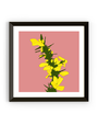 MY SHOP COLLECTION Framed Print- Gorse